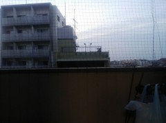 【お題日記】自分は優しいと思う？