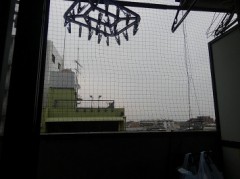 【お題日記】異性は薄顔と濃い顔どっちが好き？