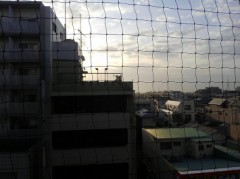 【お題日記】春に食べたくなるものって何ですか？