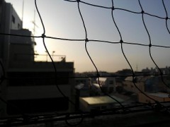 【お題日記】あなたが選ぶ、春の曲ベスト3