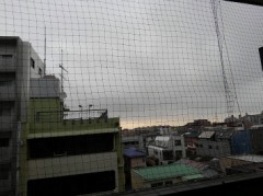 【お題日記】今現在『恋』をしていますか？