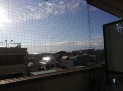 【お題日記】コレがないと生きていけない！