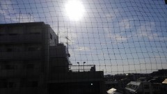 【お題日記】衣・食・住のうち、あまり興味の無い物