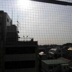 【お題日記】一番歌がうまいと思う歌手はだれ？