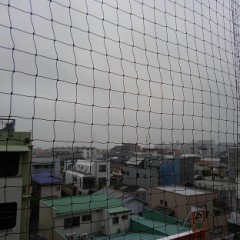 【お題日記】最近癒やされた動画貼り付けて♪