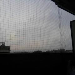 【お題日記】最近コンサート観に行った？