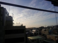 【お題日記】私のマニアックな食のこだわり