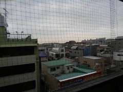 【お題日記】芸能人に対する批判について