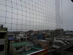 【お題日記】スマホが普及して使わなくなったもの