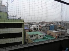 【お題日記】細かいことは好き？