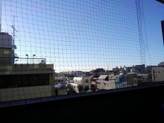 【お題日記】出会いサイトで相手を見極める方法