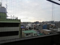 【お題日記】ふとした疑問