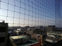 【お題日記】異性に歌われたら惚れちゃう曲