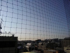 【お題日記】わたし踊らされてるな～と思う時