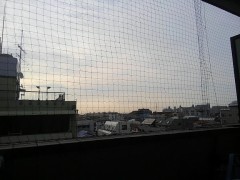 【お題日記】マナー違反してる人を見つけたらどうする？