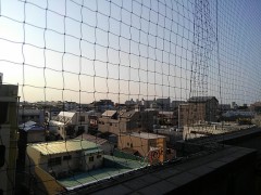 【お題日記】常備しているものは何ですか？