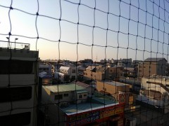 【お題日記】ボランティアの経験ありますか？