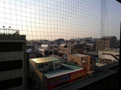 【お題日記】有限実行、不言実行アナタはどっち？