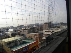 【お題日記】TV見る時間増えた？減った？