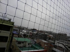 【お題日記】ゴミの分別意識してる？