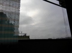 【お題日記】今まで何回引越した？