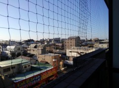 【お題日記】船旅ってしたことある？