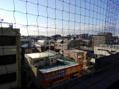 【お題日記】仲間に裏切られたーってことある？