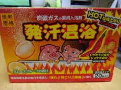 【お題日記】紫陽花がきれいに見れるスポット