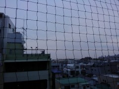 【お題日記】「知らなきゃ良かった」と思ったこと