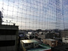 【お題日記】今日は人生最後の日。どう過ごしますか？