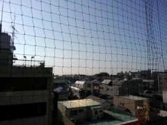 【お題日記】地震が起きた時のための、私の備え