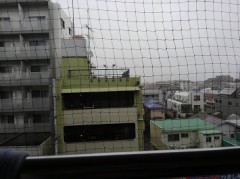 【お題日記】あなたの知ってる「噂」を教えて