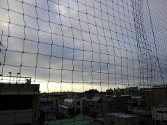 【お題日記】リオ五輪、寝不足になってもTV観戦する？