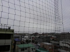 【お題日記】リア充を感じるのはどんな時？