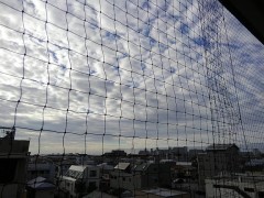 【お題日記】継続は力なり、私の継続中なこと