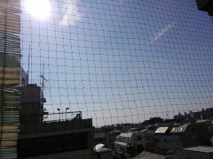 【お題日記】私の好きなヘルシーで美味しい料理