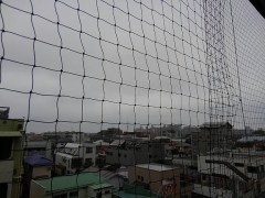 【お題日記】異性の好きなタイプは昔から一緒？