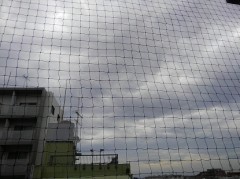 【お題日記】あなたにとってのヒーローは？