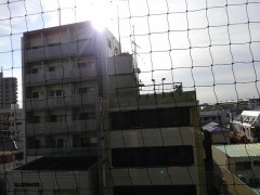 【お題日記】今思い出すと悲惨だった恋愛話