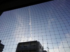 【お題日記】健康には気を使ってる？