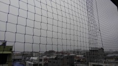 【お題日記】好きなジャンクフード