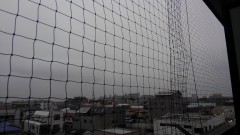 【お題日記】直感は信じる？