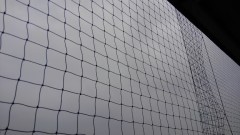 【お題日記】7月は好き？