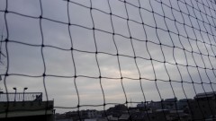 【お題日記】夏と言えばコレ！