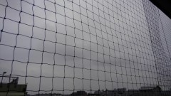 【お題日記】鏡をよく見る？