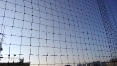 【お題日記】最近注目してること・人