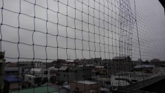 【お題日記】お寿司とステーキどっちが好き？