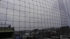 【お題日記】読書してますか？