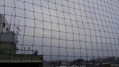 【お題日記】あなたの大事な友だちにメッセージを