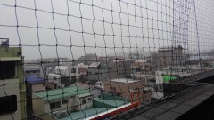 【お題日記】好きな絵本ある？